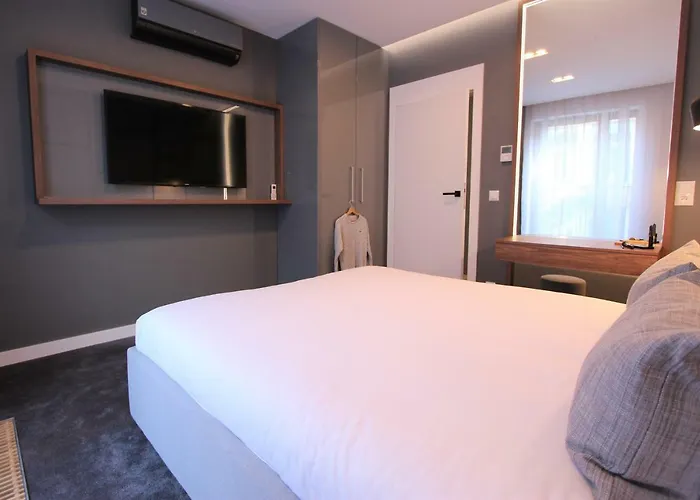 Lubicz Luxury Apartment